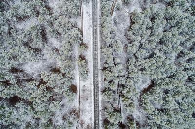 railway with snowy forest in Hungary-stock-photo