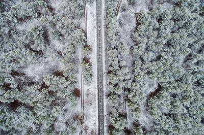 railway with snowy forest in Hungary-stock-foto