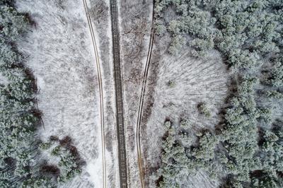 railway with snowy forest in Hungary-stock-photo