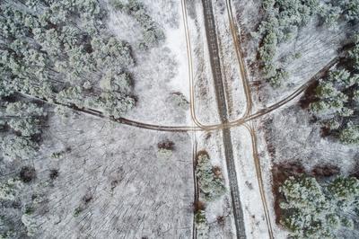 railway with snowy forest in Hungary-stock-photo