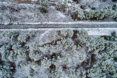 railway with snowy forest in Hungary-stock-foto