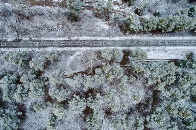 railway with snowy forest in Hungary-stock-photo