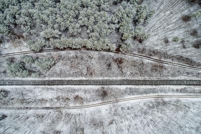 railway with snowy forest in Hungary-stock-photo