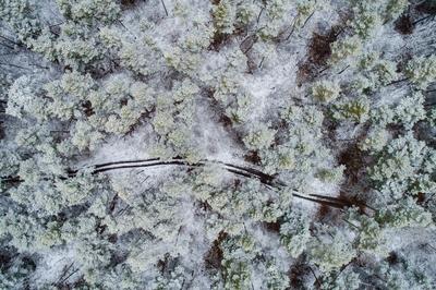 road with snowy forest in Hungary-stock-photo