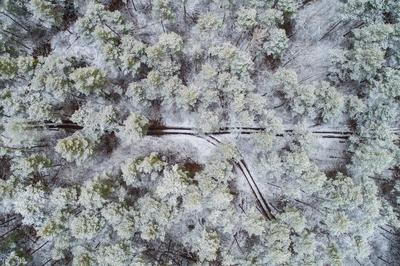 road with snowy forest in Hungary-stock-photo