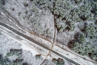 railway with snowy forest in Hungary-stock-photo