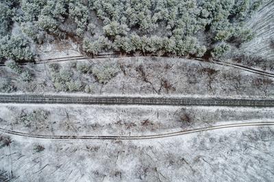 railway with snowy forest in Hungary-stock-photo