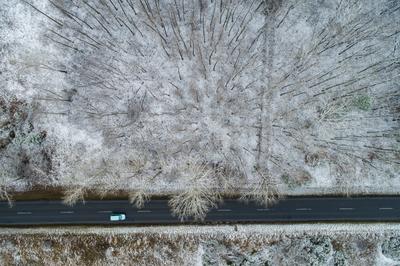 road with snowy forest in Hungary-stock-photo