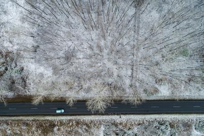 road with snowy forest in Hungary-stock-foto