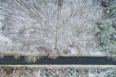 road with snowy forest in Hungary-stock-photo