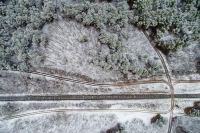 railway with snowy forest in Hungary-stock-photo