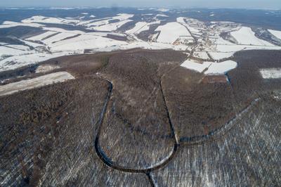 road with snowy forest in Hungary-stock-foto