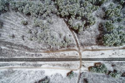 railway with snowy forest in Hungary-stock-photo