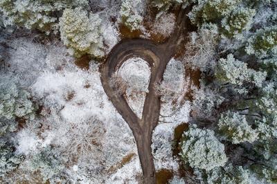road with snowy forest in Hungary-stock-foto