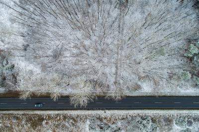 road with snowy forest in Hungary-stock-photo