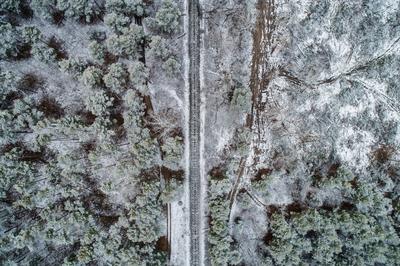 railway with snowy forest in Hungary-stock-photo