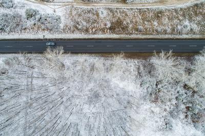 road with snowy forest in Hungary-stock-photo