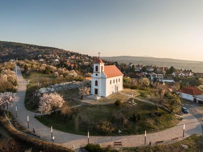 Chapel in Havihegy, Pecs, Hungary with the Tree of the Year-stock-foto