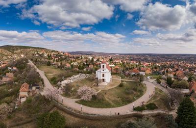 Chapel in Havihegy, Pecs, Hungary with the Tree of the Year-stock-foto