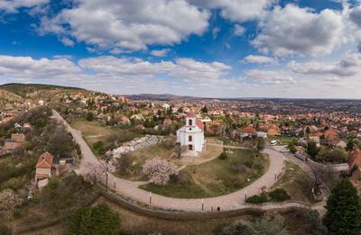 Chapel in Havihegy, Pecs, Hungary with the Tree of the Year-stock-photo