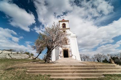 Chapel in Havihegy, Pecs, Hungary with the Tree of the Year-stock-foto