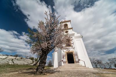 Chapel in Havihegy, Pecs, Hungary with the Tree of the Year-stock-foto