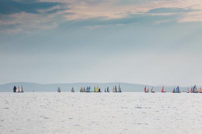 SZANTOD - JULY 18 : Sailing boats compete on 51.th Kekszalag championship at the Lake Balaton on 18 July 2019 in Szantod, Hungary.-stock-foto