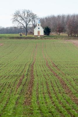 small chapel with a tree-stock-foto
