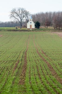 small chapel with a tree-stock-photo