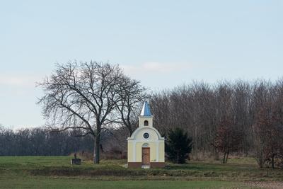 small chapel with a tree-stock-foto