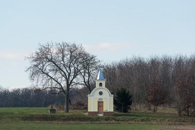 small chapel with a tree-stock-photo