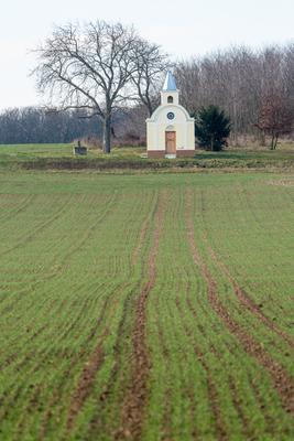 small chapel with a tree-stock-foto