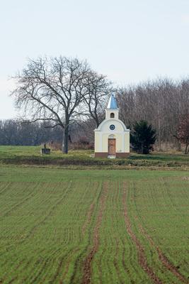 small chapel with a tree-stock-foto