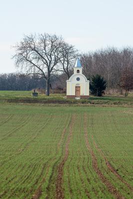 small chapel with a tree-stock-photo