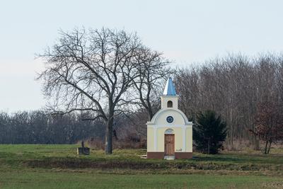 small chapel with a tree-stock-foto
