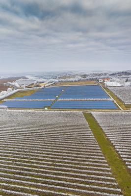 Winter frosty vineyard landscape covered by white flake with solar energy panels-stock-photo