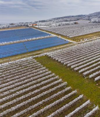 Winter frosty vineyard landscape covered by white flake with solar energy panels-stock-foto