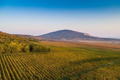 aerial view of beautiful autumn vineyard in Villany, Hungary-stock-foto