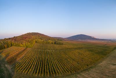 aerial view of beautiful autumn vineyard in Villany, Hungary-stock-foto