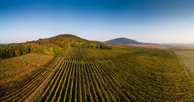aerial view of beautiful autumn vineyard in Villany, Hungary-stock-foto