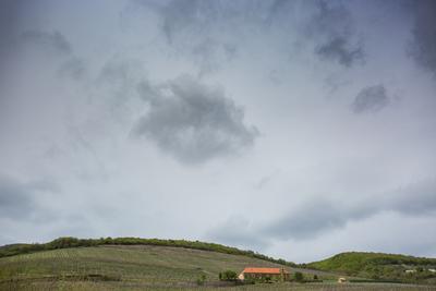 Vineyard in Mecsek with blue sky-stock-photo