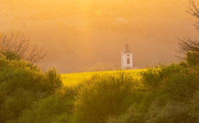 Church tower with yellow canola field in Abaliget-stock-foto