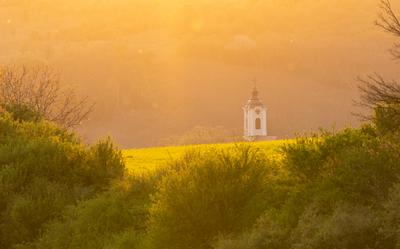 Church tower with yellow canola field in Abaliget-stock-photo