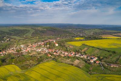 yellow canola field with cloudy sky-stock-foto