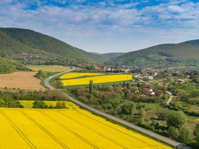 yellow canola field with Mecsek Hills-stock-foto