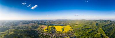 yellow canola field with blue sky-stock-foto