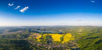 yellow canola field with blue sky-stock-foto