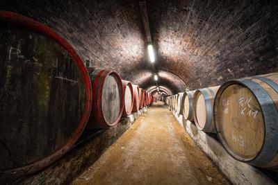 wooden barrels in old winery-stock-foto