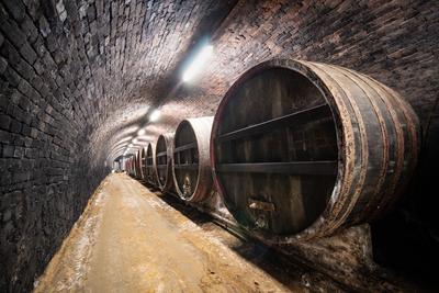 wooden barrels in old winery-stock-foto