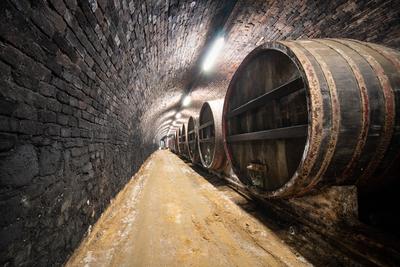wooden barrels in old winery-stock-foto